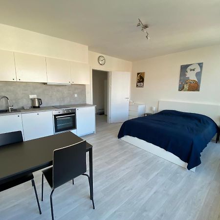 Cozy Studio With Garage In The City Center Пльзень Экстерьер фото